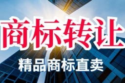 买了商标之后，多久可以使用商标？